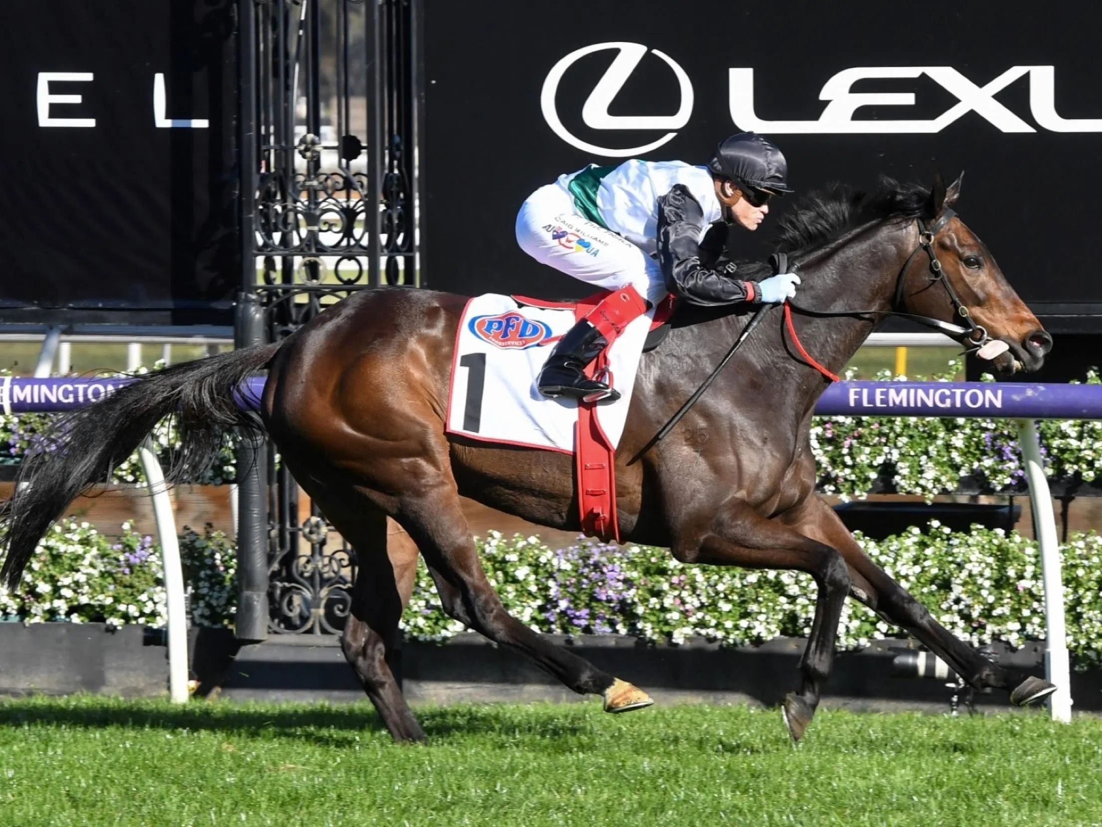 Mr Brightside et al take on HK's Champions